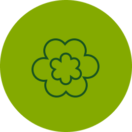 05pikpel